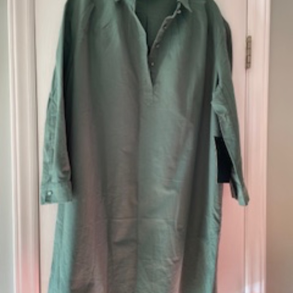 Tuckernuck Shirt Dress